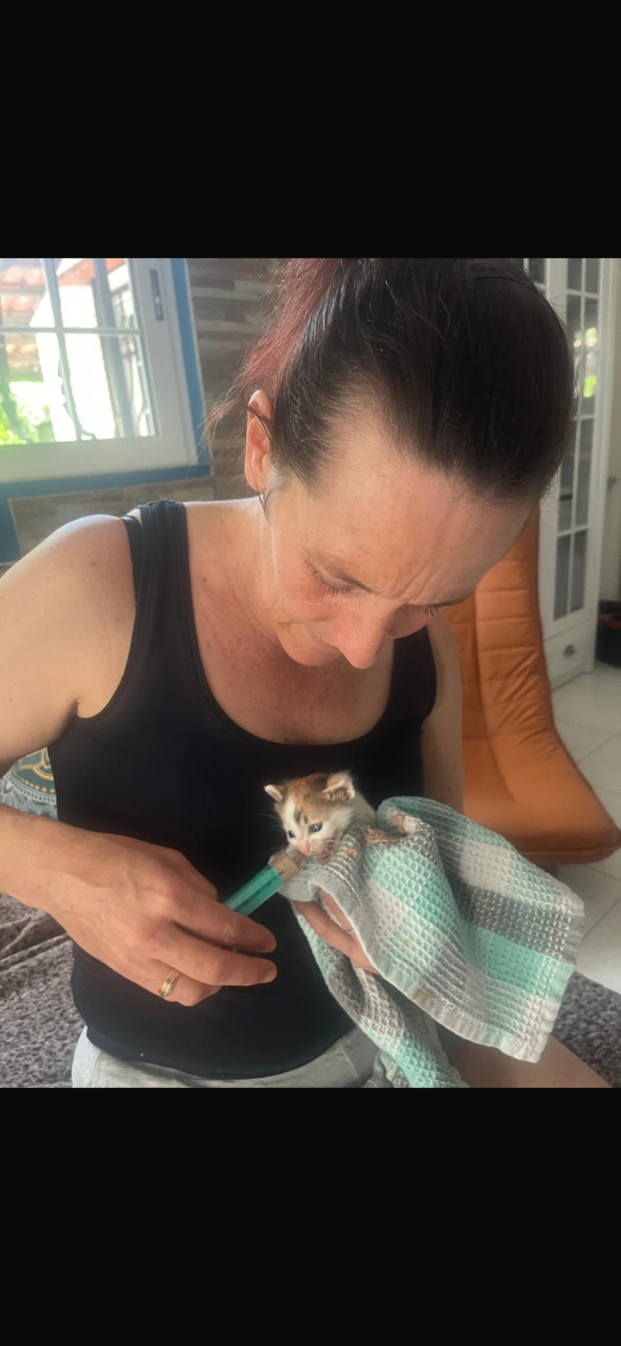 A rescued newborn kitten being carefully fed