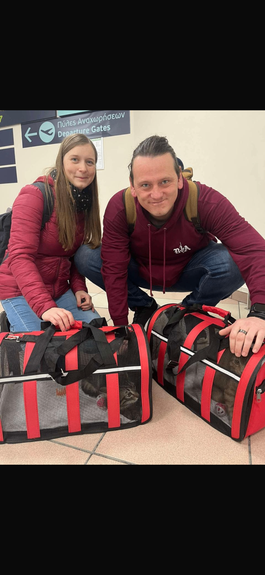 Adopters meeting rescued cats at Rhodes airport